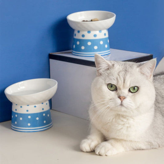 KFX-6870973 Tall Ceramic Polka Dot Cat Bowl Set - Blue and Pink Design, 2-Pack
