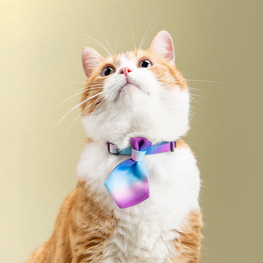 KFX-6899773 Adjustable Pet Neckties and Bowties for Cats, Polyester Accessories, Various Styles and Patterns
