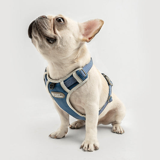 KFX-6935613 Adjustable Chest Strap Traction Rope Dog Chain - Multiple Sizes and Colors Available