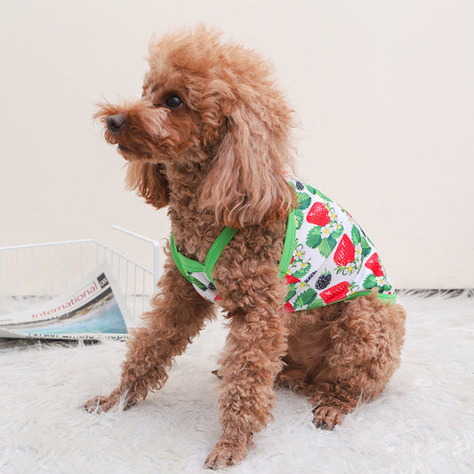 KFX-6954173 Breathable Outdoor Dog Sling Vest in Avocado, Strawberry, and Tropical Fruit – XS to XL Sizes Available