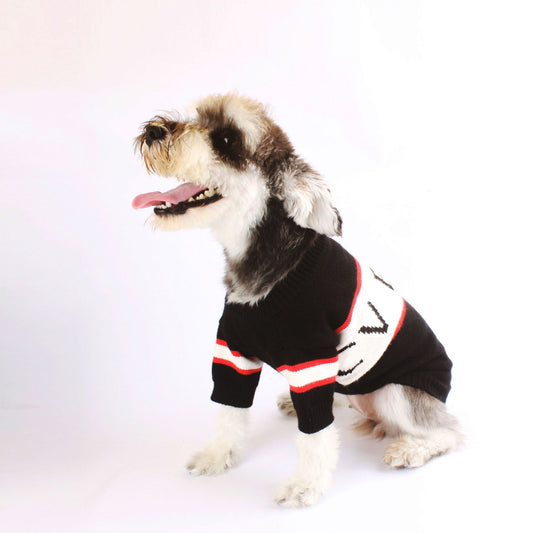 KFX-6961341 Cozy Wool Letter Sweater for Pets - Black, Sizes S to XXL