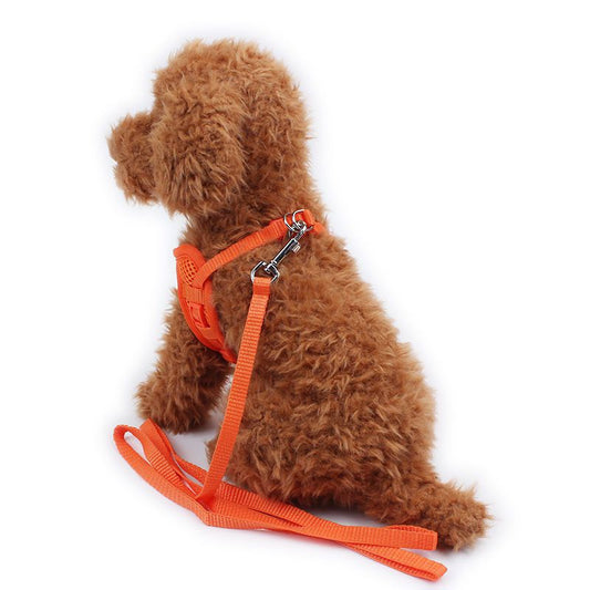 KFX-6981181 Breathable Mesh Dog Harness Vest for Comfortable No-Pull Walking