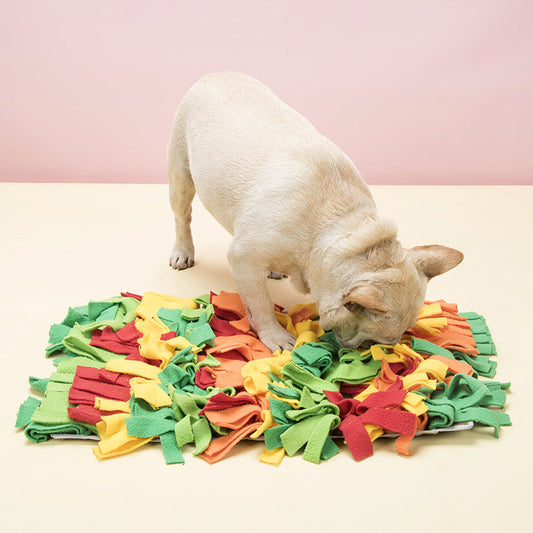 KFX-7012413 Rainbow Pet Sniffing Pad for Foraging Training - Soft Shaker Velvet, 35x25x4cm