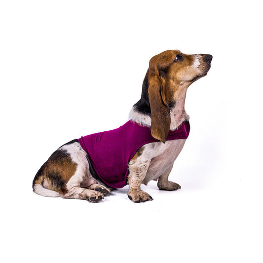 KFX-7050301 Comfort Fit Anxiety Relief Clothing for Dogs – Adjustable Pressure, Soft Double-Sided Fabric in Multiple Colors