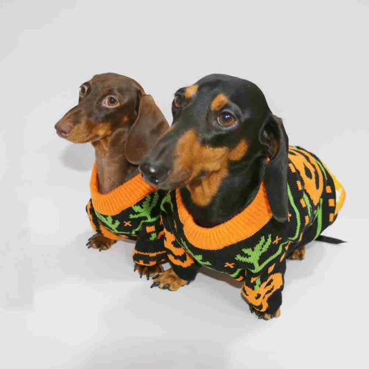 KFX-7066173 Warm Pumpkin Color Matching Sweater for Dogs and Cats - Available in Multiple Sizes
