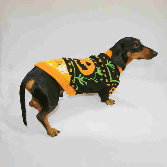 KFX-7066173 Warm Pumpkin Color Matching Sweater for Dogs and Cats - Available in Multiple Sizes