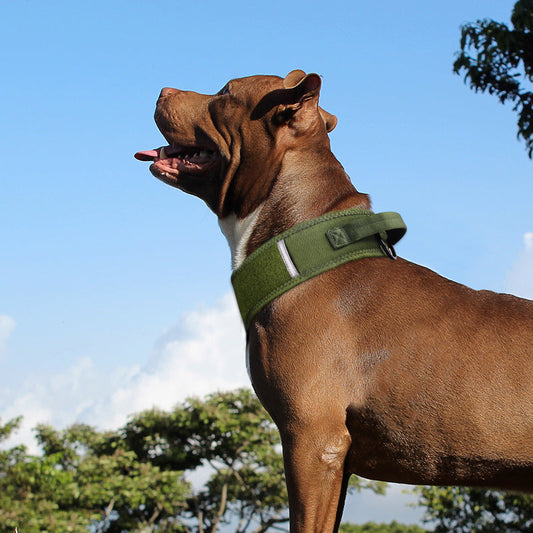 KFX-7069373 Camouflage Nylon Dog and Horse Collar in Military Green and Black, Sizes M-L-XL