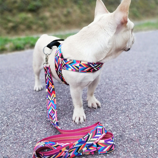 KFX-7126461 Adjustable Nylon Dog Chest Strap for Small Outdoor Activities - Sizes XS to XL