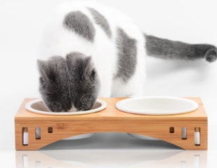 KFX-7150397 Bamboo Wood Arched Pet Bowl with Easy-Clean Bone China Insert