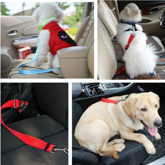 KFX-7159741 Durable Pet Traction Rope Car Seat Belt - Imitation Nylon, 2.5cm x 70cm
