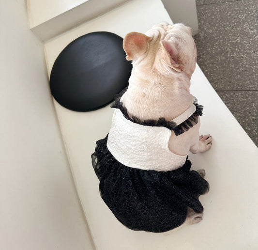 KFX-7178813 Pomeranian Princess Mesh Dress in Black and White, Sizes S-XXL