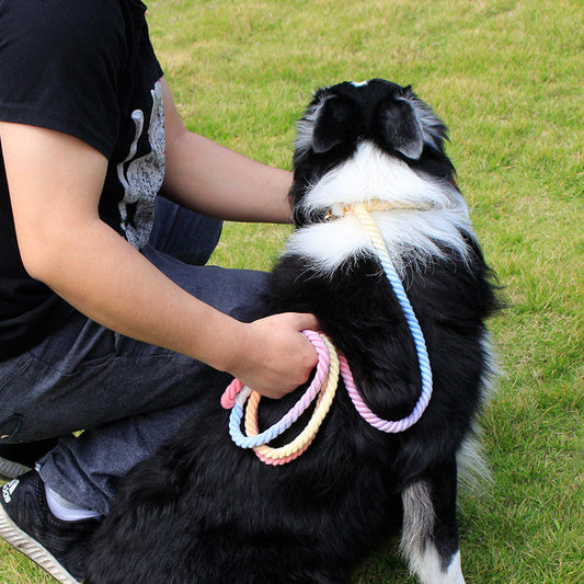 KFX-7180989 Adjustable Rainbow Cotton Dog Leash – 1.8m Lightweight Traction Rope