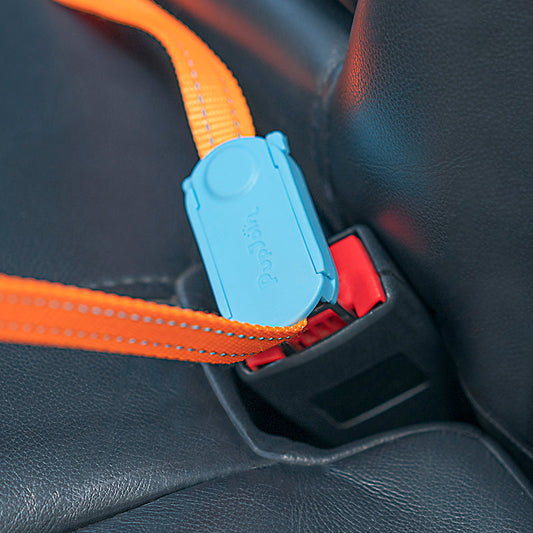KFX-7192509 Durable Dog Car Safety Buckle and Traction Rope for Small to Medium Dogs