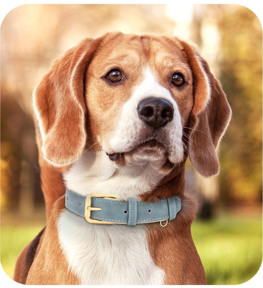 KFX-7194173 Double-Layer Leather Pet Collar with Traction Rope for Small to XL Dogs