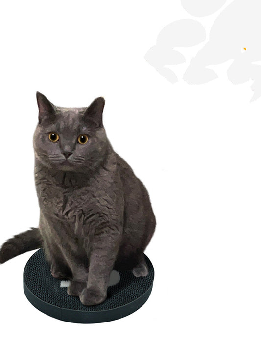 KFX-7204413 Double-Sided Cat Scratching Board for Claw Maintenance - 42 cm Diameter, Eco-Friendly Cardboard