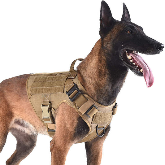 KFX-7230525 Military-Grade Adjustable Tactical Dog Seat Belt for German Shepherds and Labradors In Training, 1000D Nylon Material