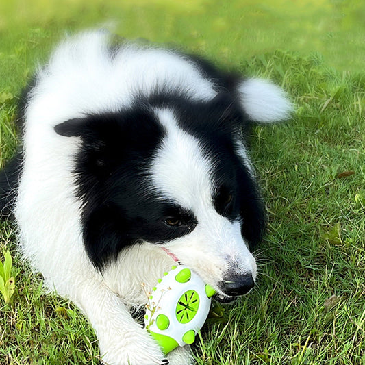 KFX-7255741 Durable Hedgehog Shape Dog Toy with Food Dispensing and Teeth Cleaning Features for Small to Large Breeds