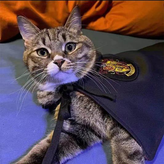 KFX-7268541 Magical Pet Cloak and Accessories Set for Cats and Dogs in Various Colors