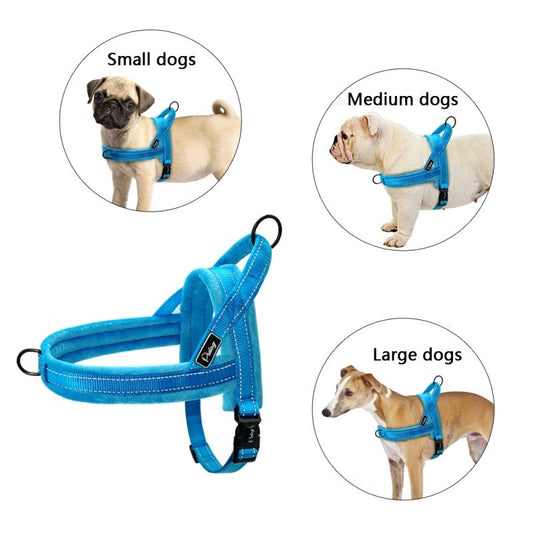 KFX-7290301 Padded No-Pull Dog Harness and Leash for Large Dogs - Available in Black, Blue, and Pink