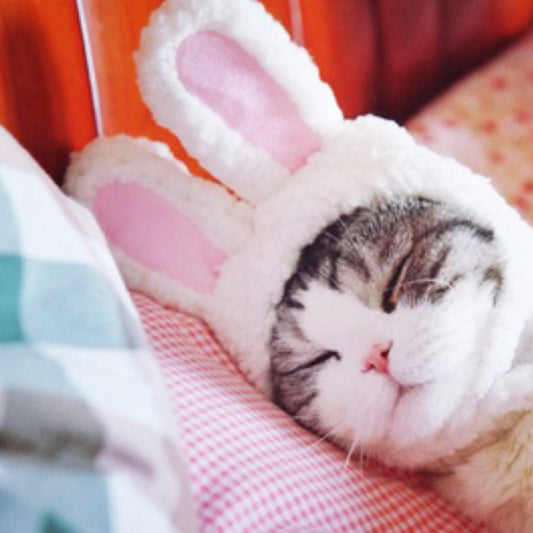 KFX-7310653 Cute Cartoon Rabbit Ears Headdress for Pets – Cozy Cotton Wool Winter Accessory