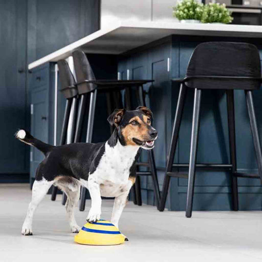 KFX-7313085 Interactive Sounding Disc Toy for Indoor Dogs - Safe, Soft, and Engaging Play Solution