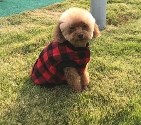 KFX-7316413 Hooded Polyester Dog Vest for Small to Large Breeds, Adjustable Fit with Size Options