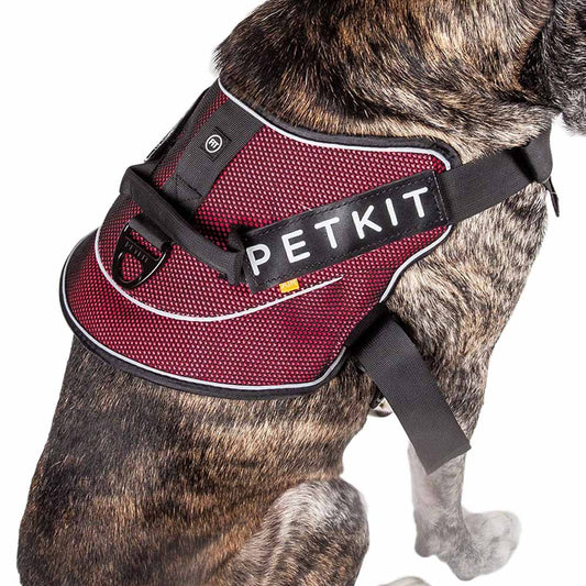 KFX-7317309 Durable Nylon Pet Vest Chest Strap with Adjustable Sizes for Dogs and Cats