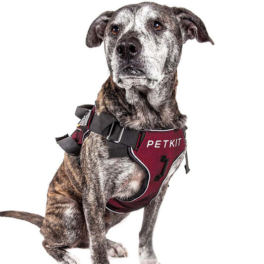 KFX-7317309 Durable Nylon Pet Vest Chest Strap with Adjustable Sizes for Dogs and Cats