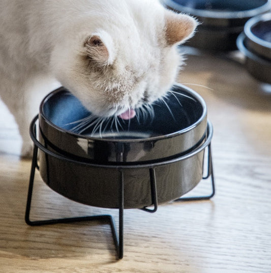 KFX-7329725 Cervical Spine Support Ceramic Pet Bowl with Double Design for Cats and Small Dogs
