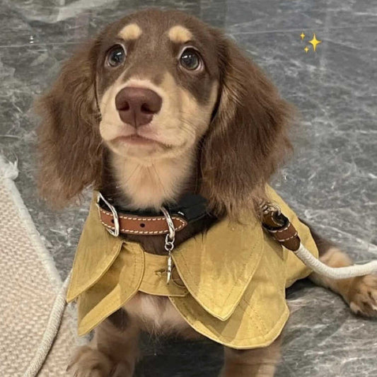 KFX-7340861 British Style Windbreaker Shawl for Small Dogs in Cheese Yellow - Casual Fit, Various Sizes Available