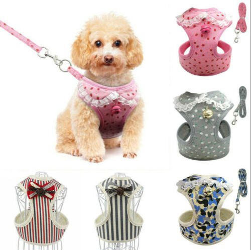 KFX-7406397 Breathable Tank Top Style Dog Chest Strap with Traction Rope for Pets
