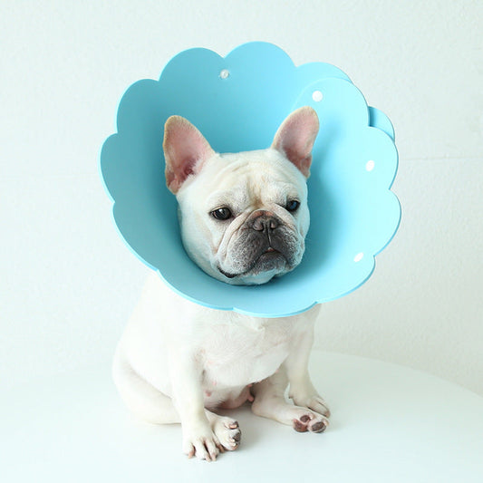 KFX-7481533 Sunflower Anti-Licking Pet Protection Collar in Various Sizes and Colors
