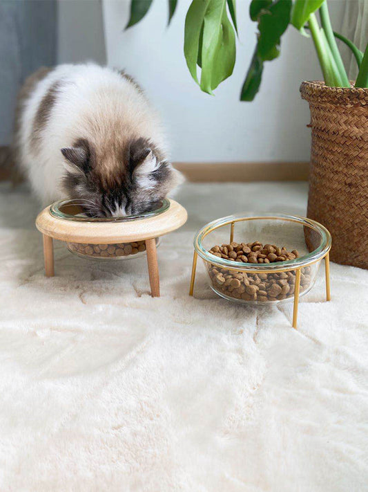 KFX-7520573 Elegant Glass and Beech Pet Bowl - Available in Large (800ml) and Small (480ml) for Cats and Dogs