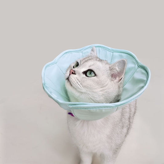 KFX-7539645 Pink and Green Pet Postoperative Wound Collar - Anti-Scratch and Licking, 1 Size S/M/L/XL