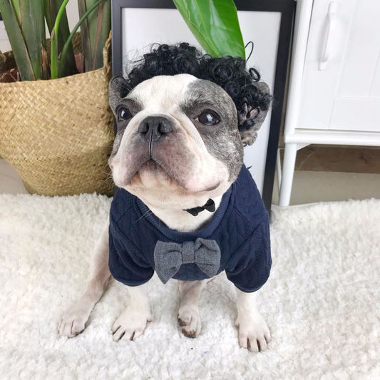 KFX-7616701 Stylish Blue Wool Dog Sweater - England Style, Size M, Comfortable & Versatile