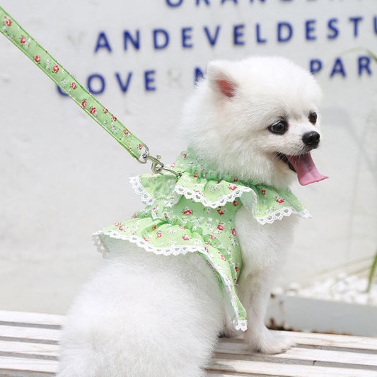KFX-7619261 Small Floral Lace Teddy Bear Dog Leash with Chest Strap for Pets Up to 15 kg