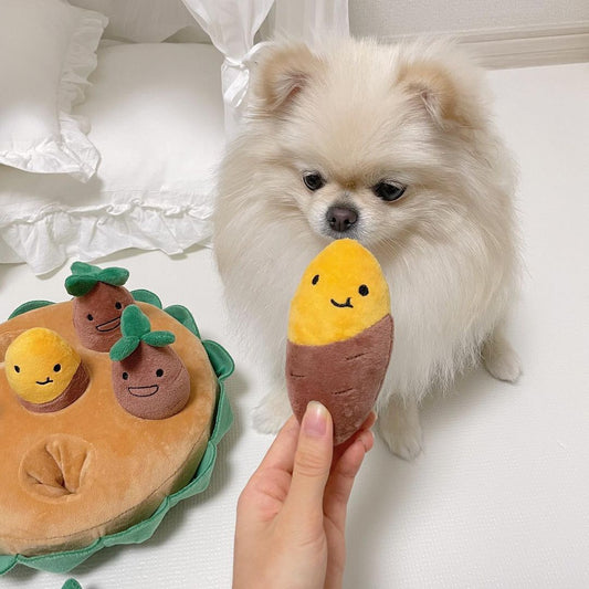 KFX-7652285 Sweet Potato Pull Toy Set for Dogs - Includes Soil Base, Peeled & Green Sweet Potatoes