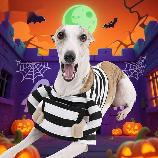 KFX-7656893 Striped Black and White Dog Halloween Costume for Pets in Various Sizes