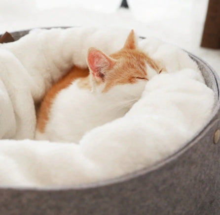 KFX-7661245 Cozy Detachable Pet Bed for Cats - Sizes S (up to 8 kg) and M (up to 15 kg)