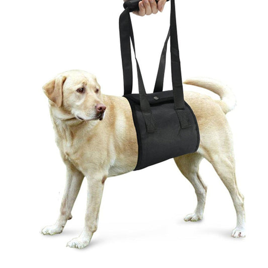 KFX-7718461 Pet Assistance Leash Belt for Aged and Injured Dogs