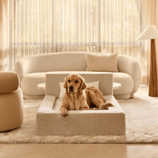 KFX-7726397 Cozy Rectangular Pet Bed with Backrest for Dogs and Cats - Soft Sponge Mat for Large, Medium, and Small Pets