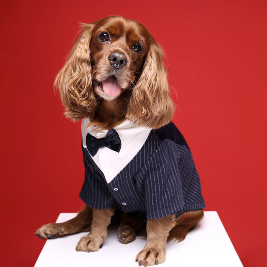 KFX-7742397 Light Gray and Navy Blue Dog Suit Dress - Stylish Gentleman Outfit for Weddings and Special Occasions