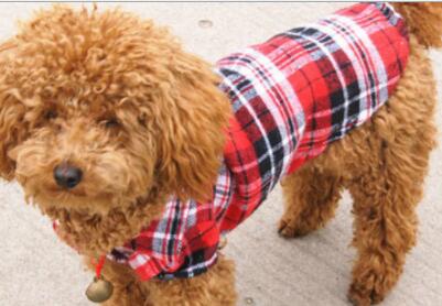KFX-7753917 Pet Clothing for Small Dogs and Cats - Cute Plaid Shirt in Blue and Red, Size XS to XL