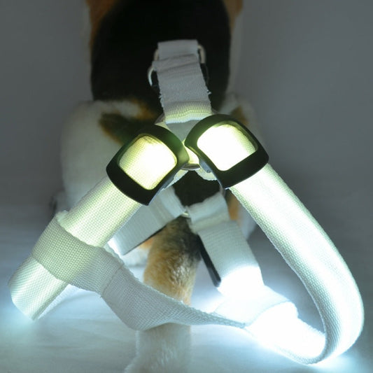 KFX-7754813 LED Illuminated Pet Leashing Vest for Enhanced Night Safety - Multiple Colors Available