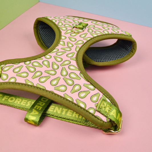 KFX-7781821 Medium and Large Pet Dog Chest and Back Harness with Multi-Color Options for Various Occasions