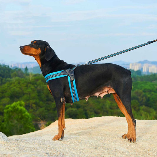 KFX-7826621 Breathable Herringbone Pet Chest Harness and Traction Rope Set, Reflective Design, Comfortable Fit for Dogs