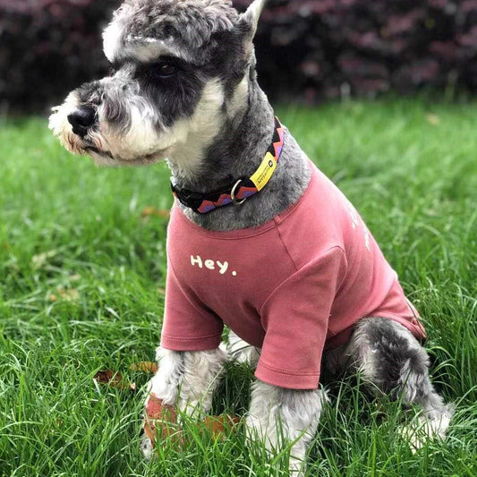KFX-7881405 Pet Korean Simple Printed Cotton T-shirt - Available in Multiple Colors and Sizes