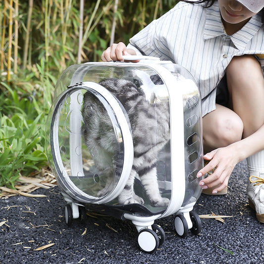 KFX-7888829 Transparent Portable Outdoor Trolley Case for Dogs and Cats - Solid Color Options Available