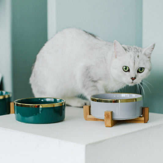 KFX-7904061 Elegant Ceramic Cat Bowl for Food and Water - 400 ML & 850 ML Capacity Available