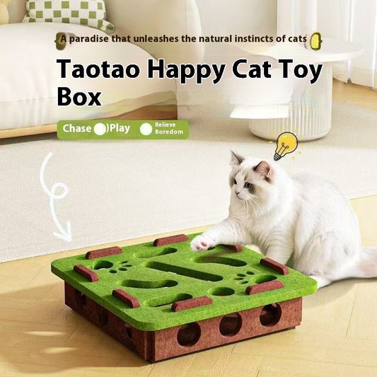 KFX-7911101 Felt Puzzle Box for Cats - Self-Relieving Toy in Green, Brown, Camel White, Gray